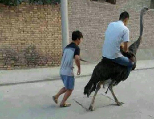 逗比搞笑图