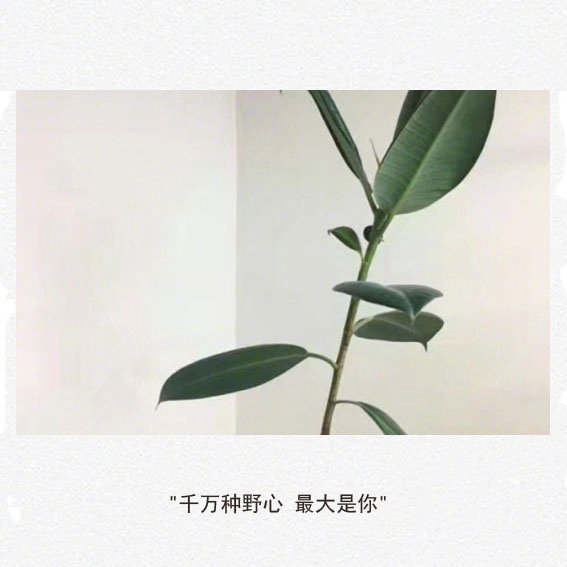 望斗转星移 叹眼前佳人惊奇