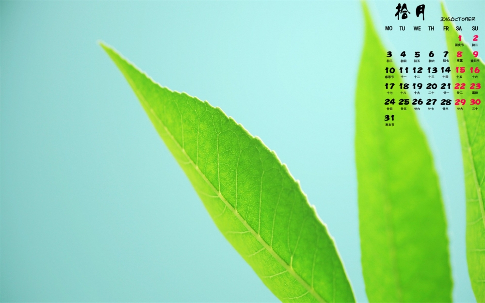 2016年10月日历小清新绿色植物护眼壁纸图片下载