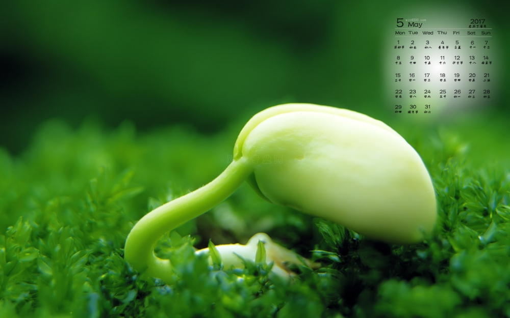 2017年5月绿色高清护眼日历壁纸