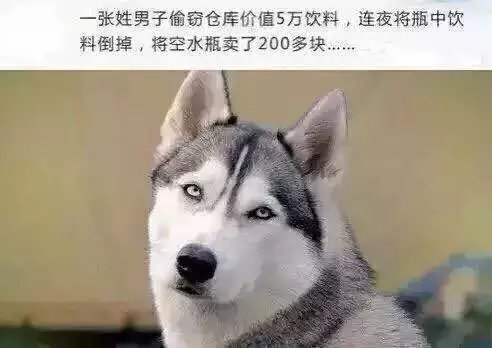 让我们回顾一下2015年的奇葩新闻