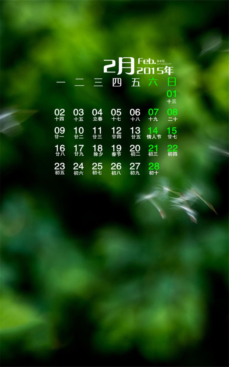 2015年2月份日历水印清新护眼绿色植物手机壁纸iphone壁纸下载
