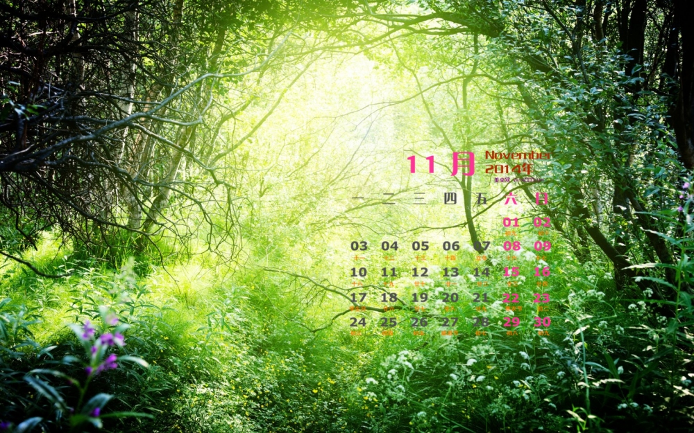 2014年11月日历壁纸清新唯美好看的大自然风景图片合集