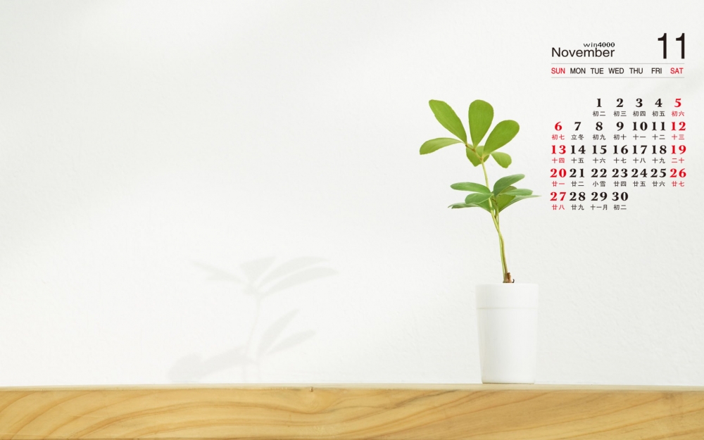 2016年11月日历室内静物桌面壁纸