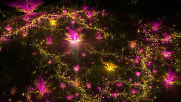 梦幻花朵高清电脑桌面大全 第一辑