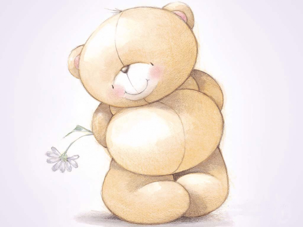 cartoon熊高清壁纸