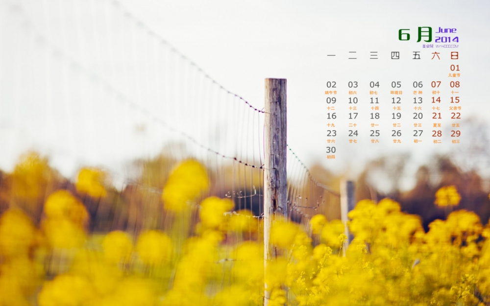 2014年6月日历壁纸唯美清新自然界小花图片