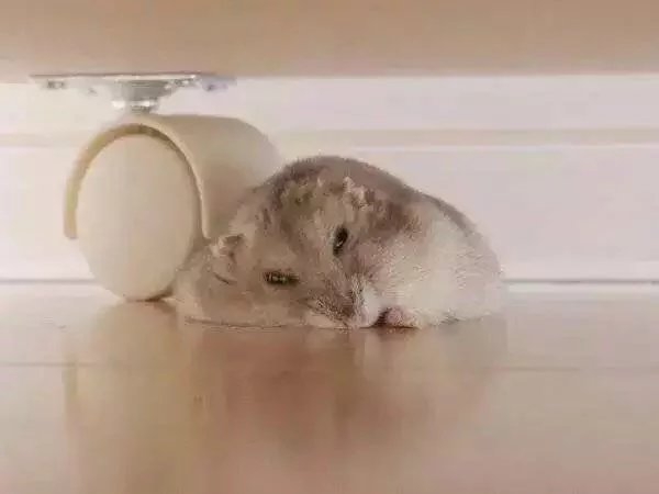 千万野心.