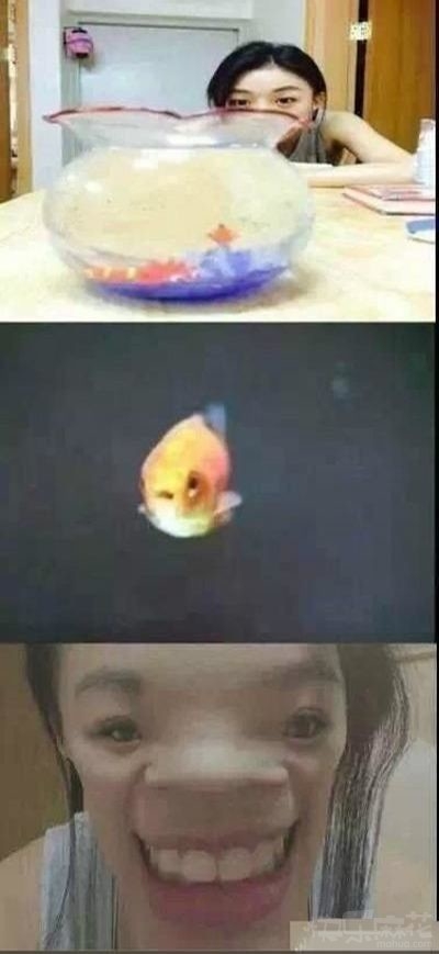 金鱼眼中的你是这样的