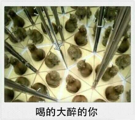 神話:是不是春节的你