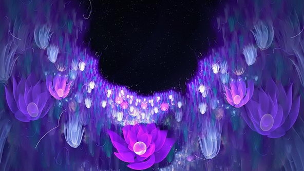 梦幻花朵高清电脑桌面大全 第一辑