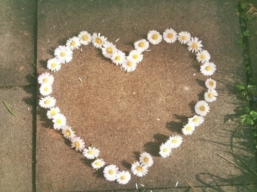 孤身前往看一场花事 LOMO唯美图片
