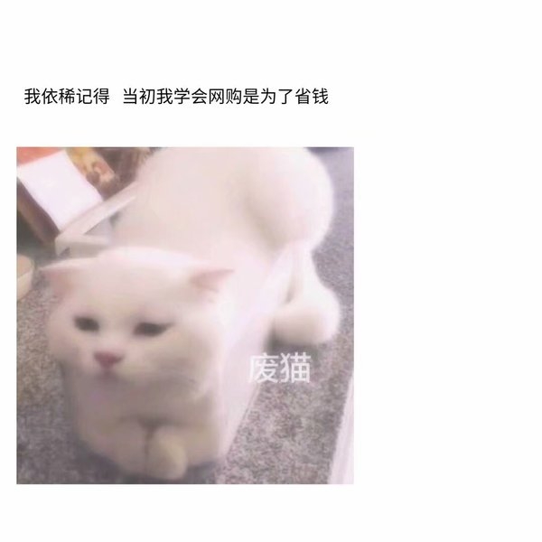 想和你谈恋爱 不是冲动 是心动