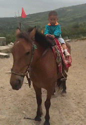 光屁股小孩儿骑马