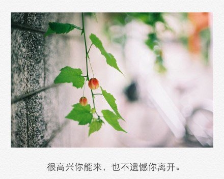 这个世界很小，我们就这样遇见