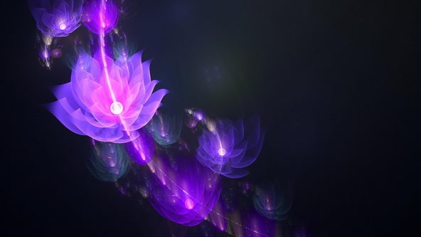 梦幻花朵高清电脑桌面大全 第一辑