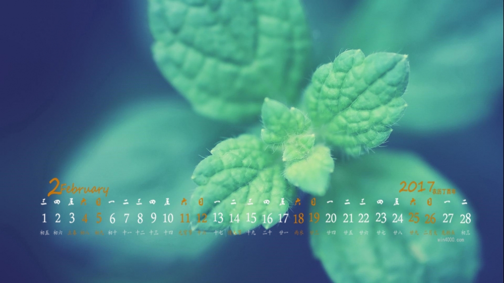 2017年2月绿色护眼植物高清桌面日历壁纸