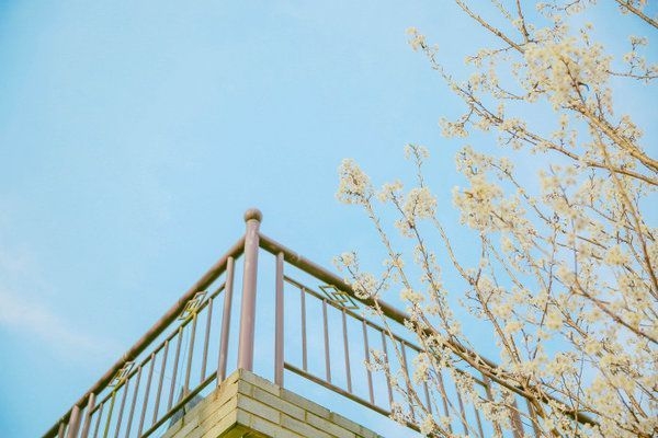 我也好喜欢日落，他们却说我没看过朝霞