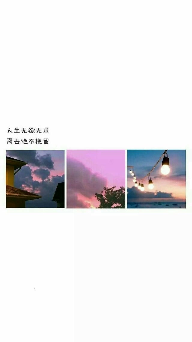 你也喜欢苏橙吗。