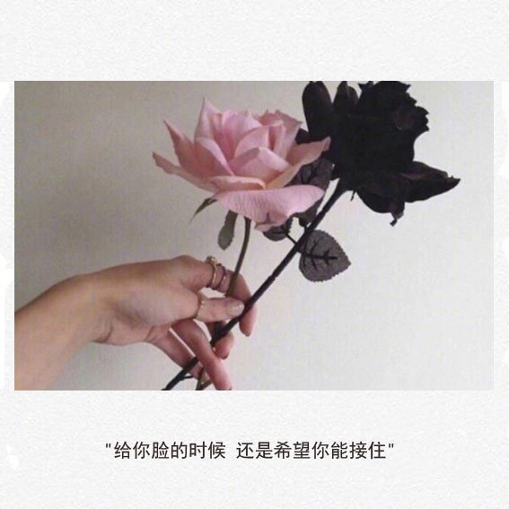 望斗转星移 叹眼前佳人惊奇
