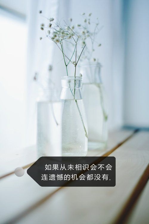 如果从未相识，会不会连遗憾的机会都没有