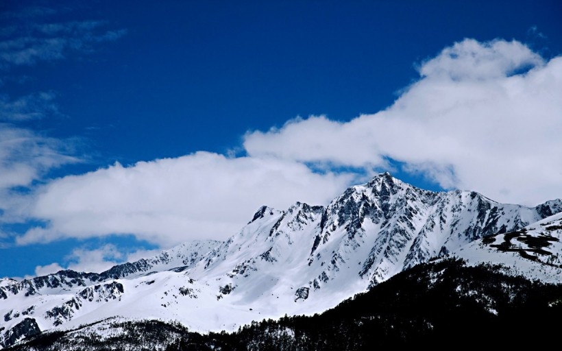 云南白马雪山自然风景桌面壁纸