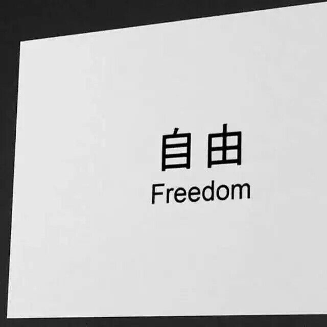 不再期待感情的我可酷了阿