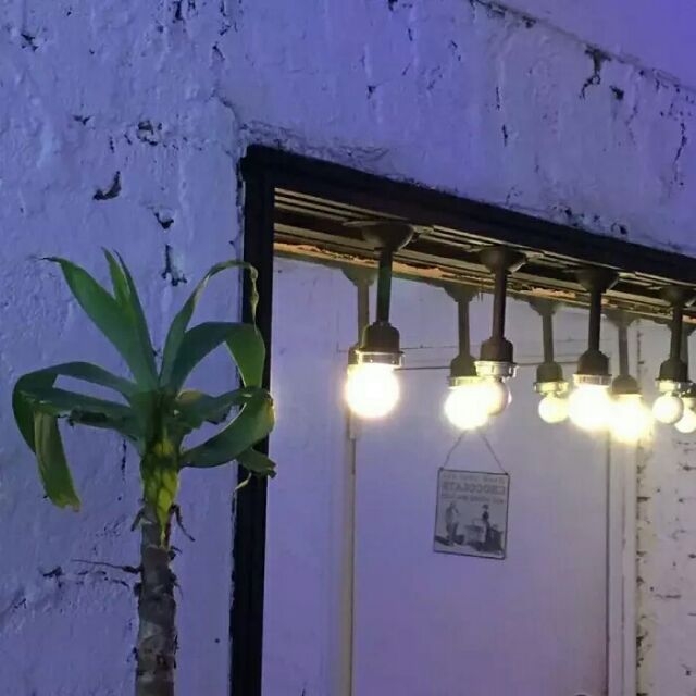 主页壁纸
