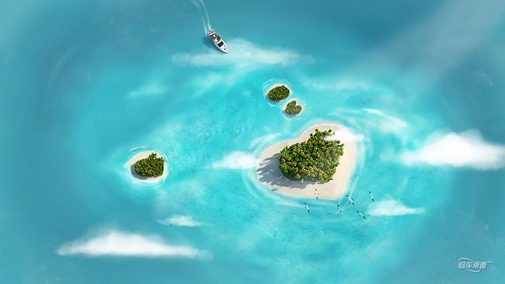 小清新花卉电脑桌面壁纸