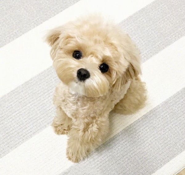 可爱*^o^* ​​​​