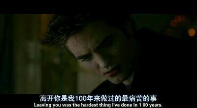 闹剧已终， 余生不送