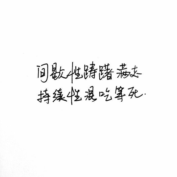 纵有疾风起 人生不言弃