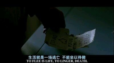 闹剧已终， 余生不送