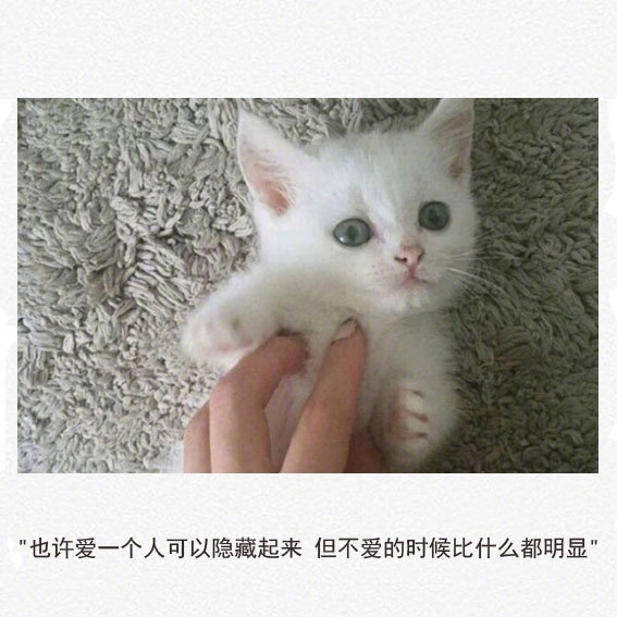 望斗转星移 叹眼前佳人惊奇