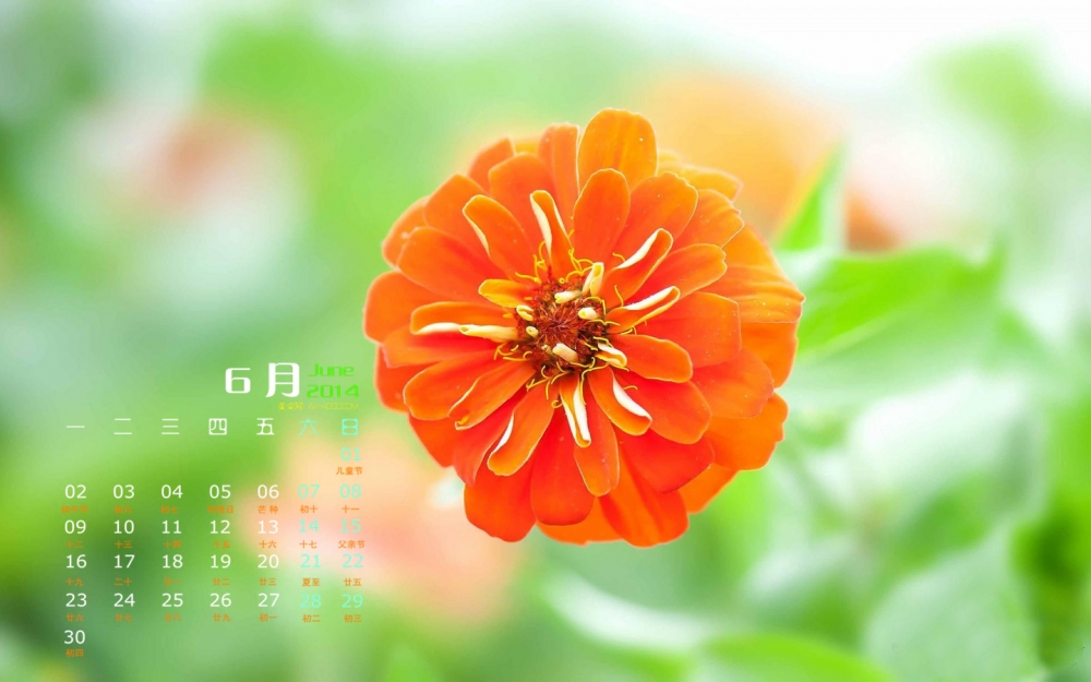 2014年6月日历壁纸唯美清新自然界小花图片