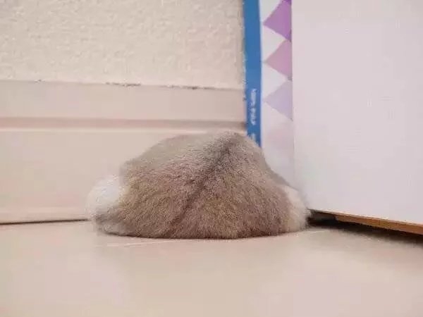 千万野心.