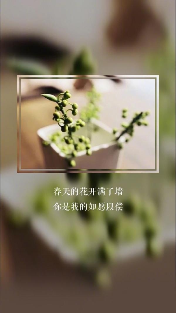 简单伤感的经典文字图片  为一