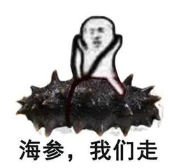 皮皮虾周边