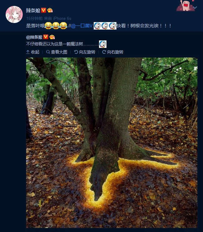 还以为是颗魔法树的