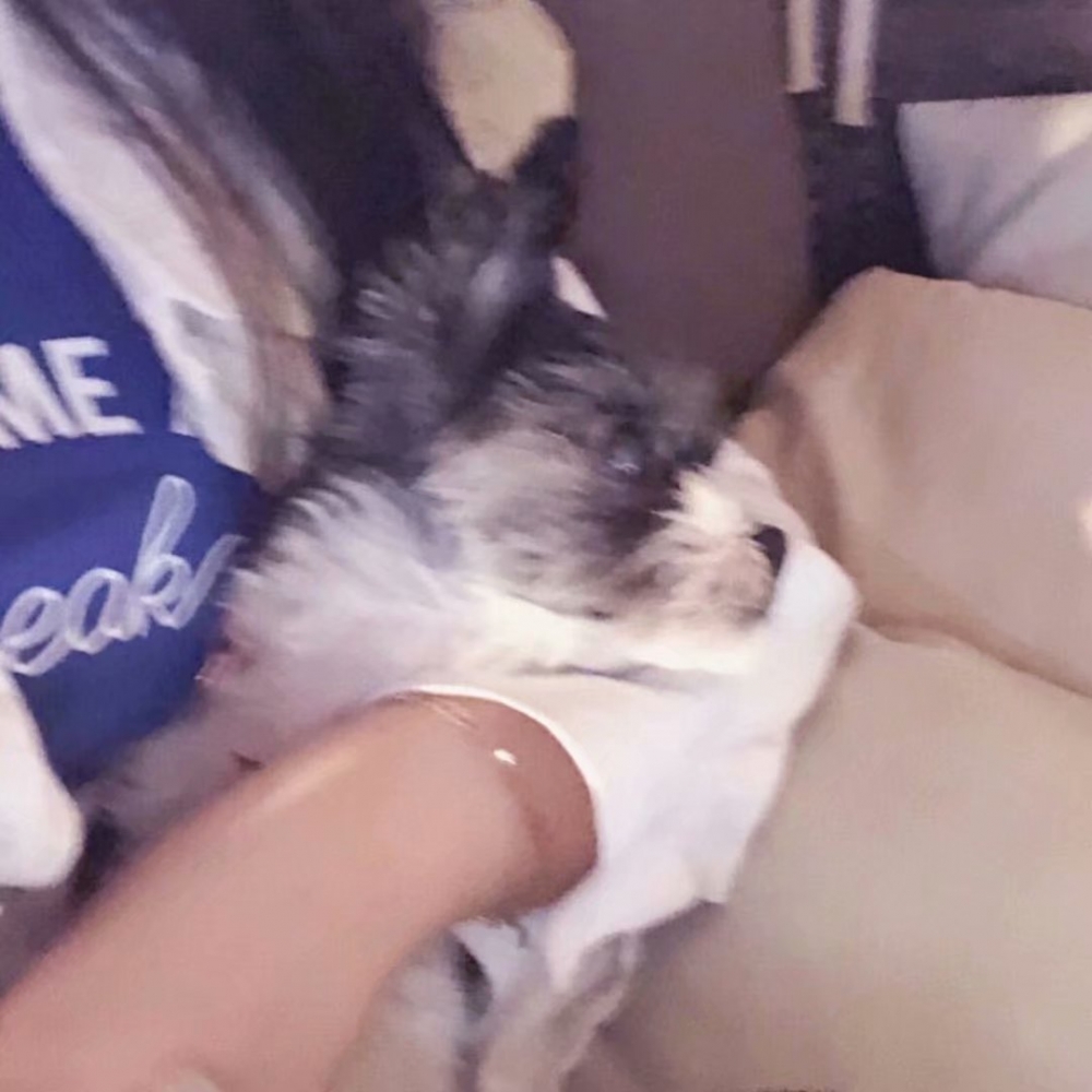 不会哄你的人 大概都不够喜欢你吧