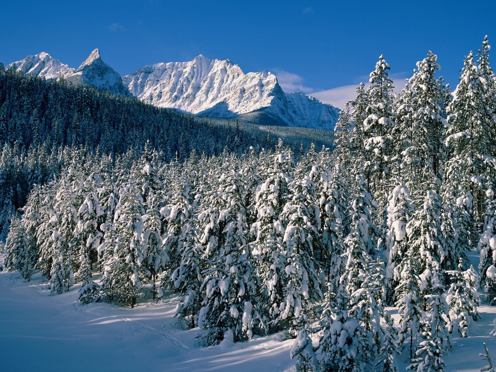 雪景 第二辑