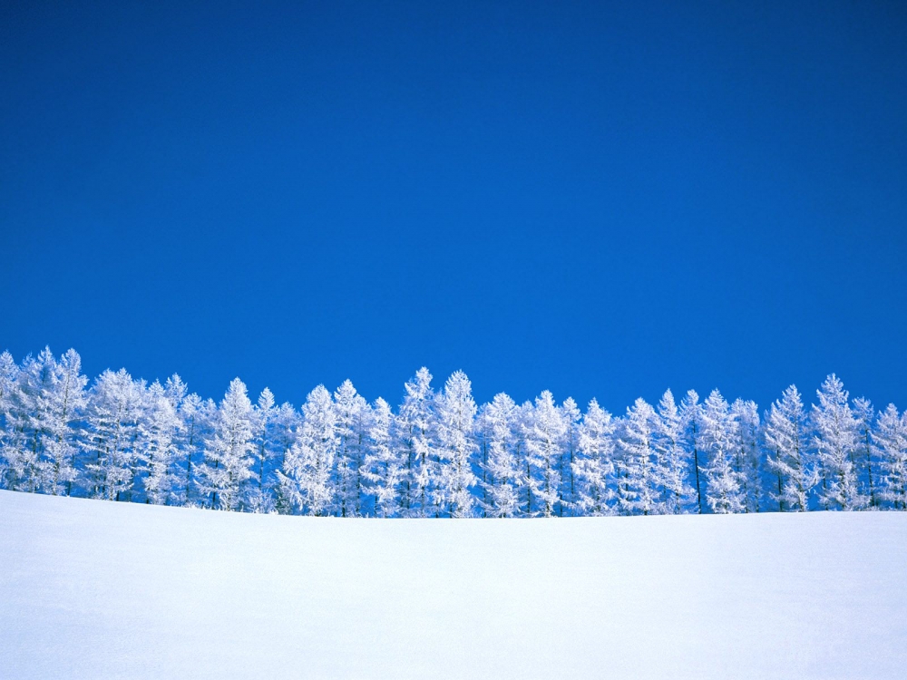 雪景 第二辑