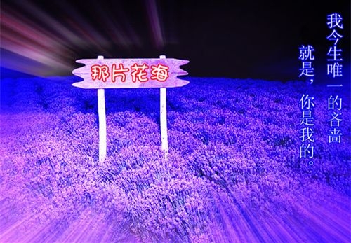 对浪漫紫色的迷恋