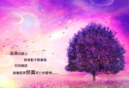 对浪漫紫色的迷恋