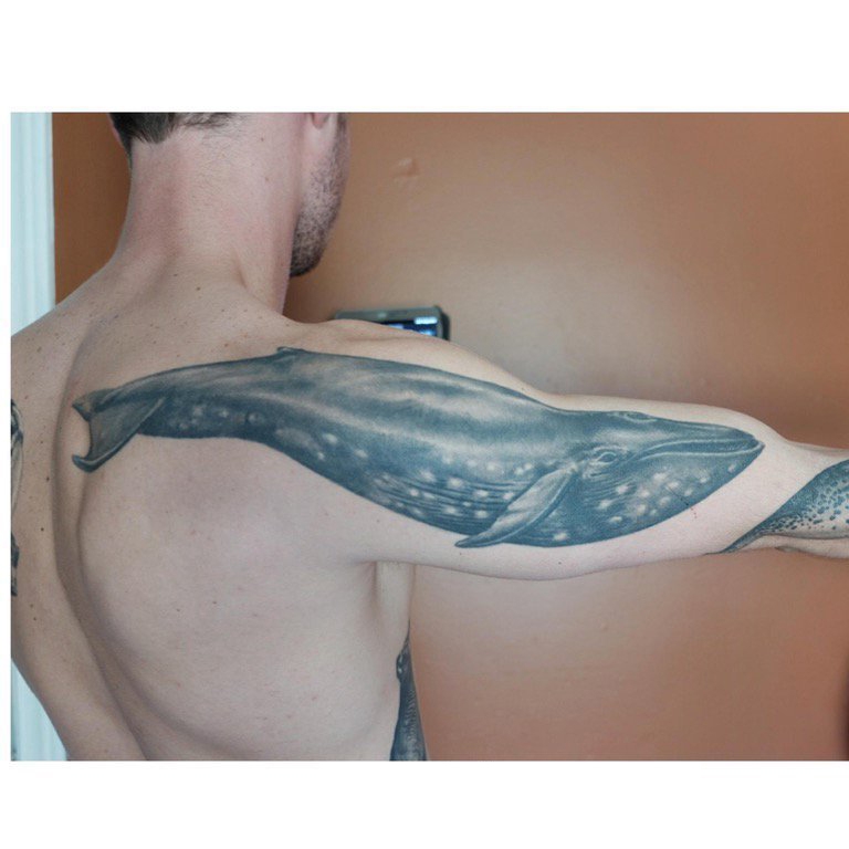 纹身鲸鱼 男生大臂上黑色的鲸鱼纹身图片