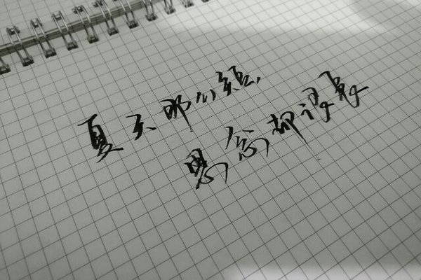 幸亏长得丑 没经历过各位的爱恨情仇 ​​​