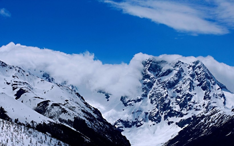 云南白马雪山自然风景桌面壁纸