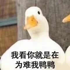 来自大肥鸭的小心心