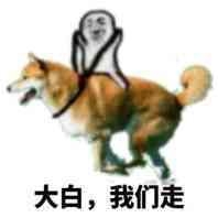 皮皮虾周边