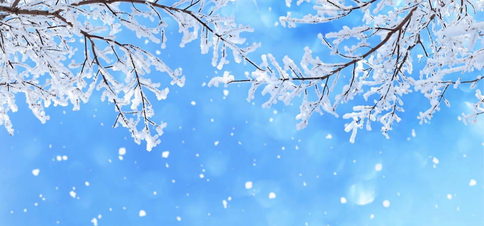 冬天，雪，树枝，雪花，天空图片，风景桌面壁纸